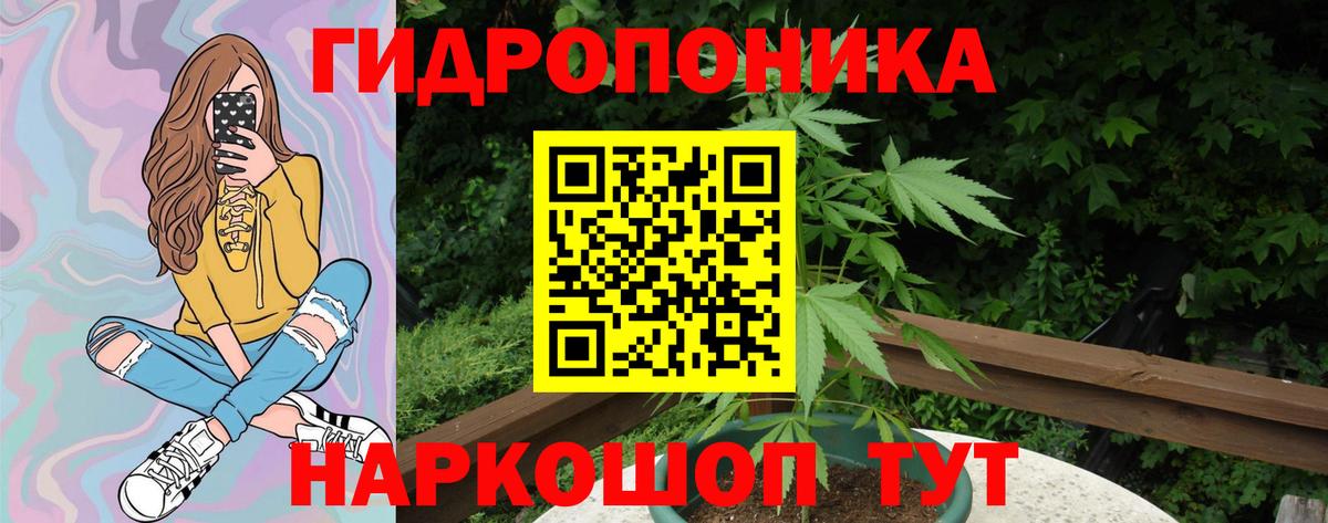Конопля конопля Керчь